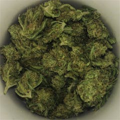 User uploaded image of Nebula