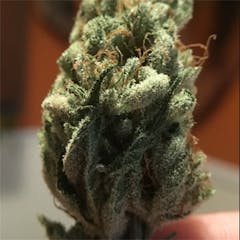 User uploaded image of Nebula