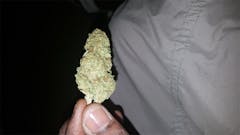 User uploaded image of Nepalese