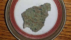 User uploaded image of Neptune Kush
