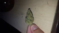 User uploaded image of Neptune Kush
