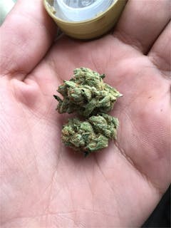 User uploaded image of Neptune OG