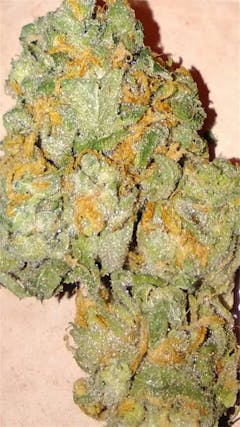 User uploaded image of Nevil's Wreck