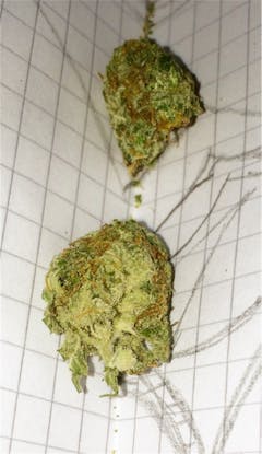 User uploaded image of Neville's Haze