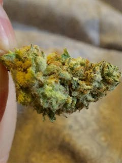 User uploaded image of Nexus OG