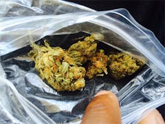 User uploaded image of Nice Cherry