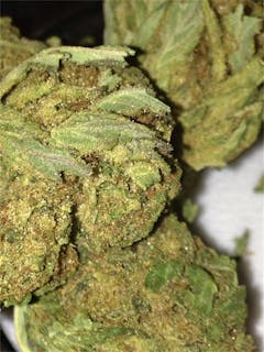 User uploaded image of Nice Cherry