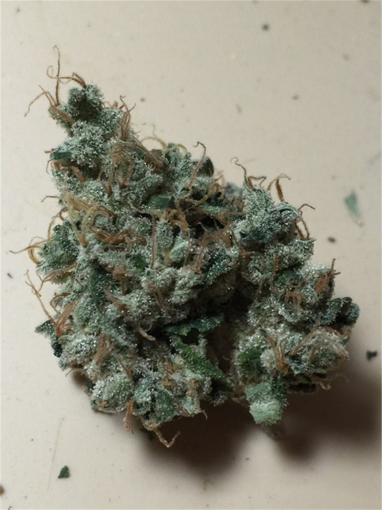 Night Nurse Weed Strain Effects Reviews Leafly