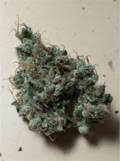 User uploaded image of Night Nurse