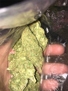 User uploaded image of Night Nurse