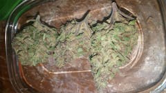 User uploaded image of Night Nurse