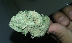 User uploaded image of Night Terror