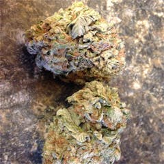 User uploaded image of Night Terror