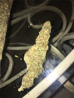 User uploaded image of Night Train