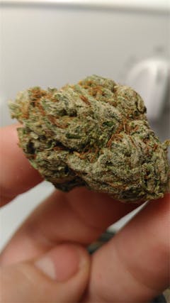 User uploaded image of NightFire OG