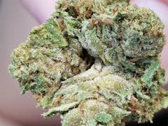 User uploaded image of Nightmare Cookies