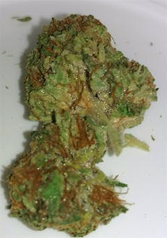 User uploaded image of Nina Limone