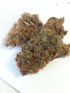 User uploaded image of Nordle