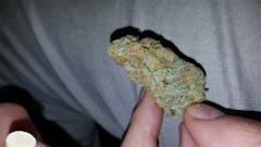 User uploaded image of North Indian