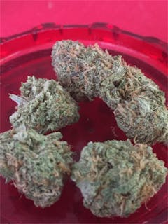 User uploaded image of Northern Berry