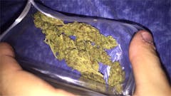 User uploaded image of Northern Berry