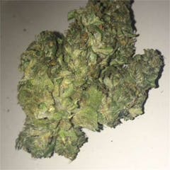 User uploaded image of Northern Lights #5 x Haze