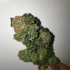 User uploaded image of Northern Lights #5