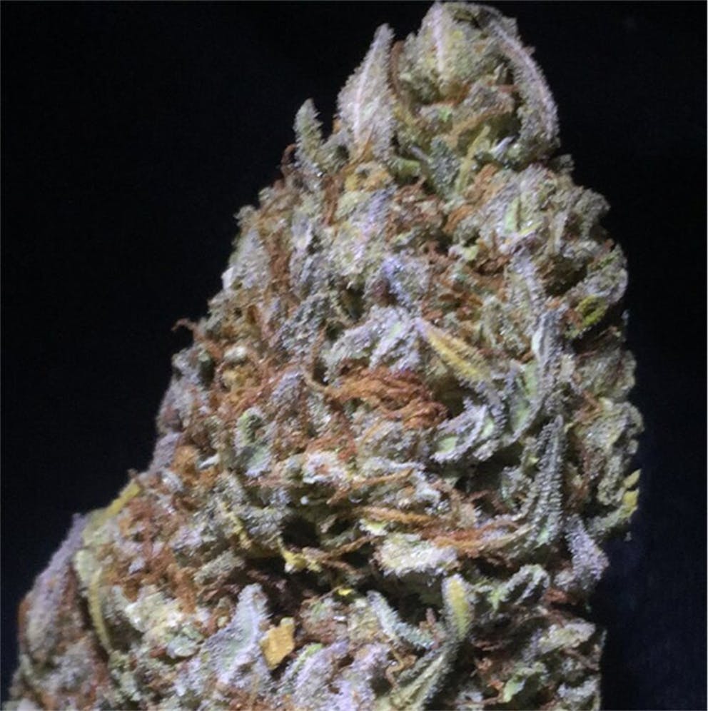 Photos of Northern Lights Weed Strain Buds Leafly