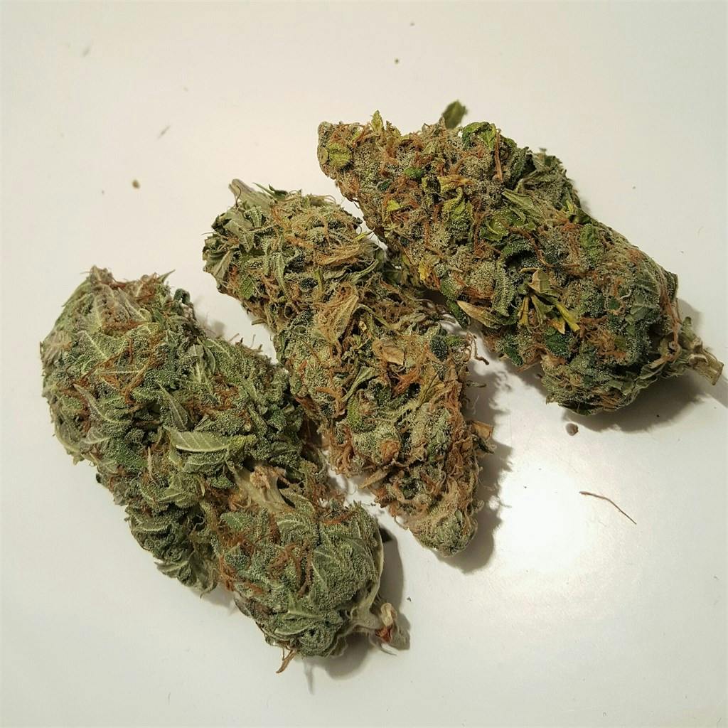 Photos of Northern Lights Weed Strain Buds Leafly