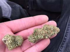 User uploaded image of Northern Wreck