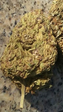 User uploaded image of Northern Wreck