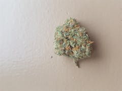 User uploaded image of Nuken