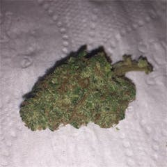 User uploaded image of Nuken