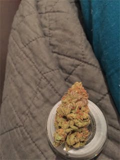 User uploaded image of Nurse Jackie