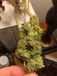 User uploaded image of Nurse Jackie