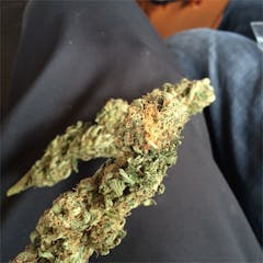 User uploaded image of Nurse Jackie