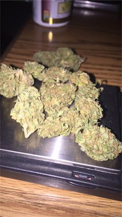 User uploaded image of Nurse Jackie