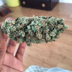 User uploaded image of NY Cheese