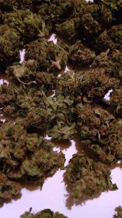 User uploaded image of NYC Diesel