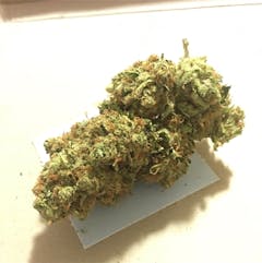 User uploaded image of NYPD