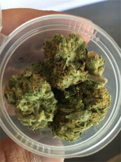 User uploaded image of NYPD