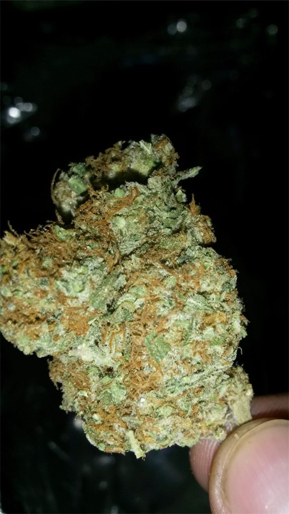 Photos of NYPD Weed Strain Buds Leafly