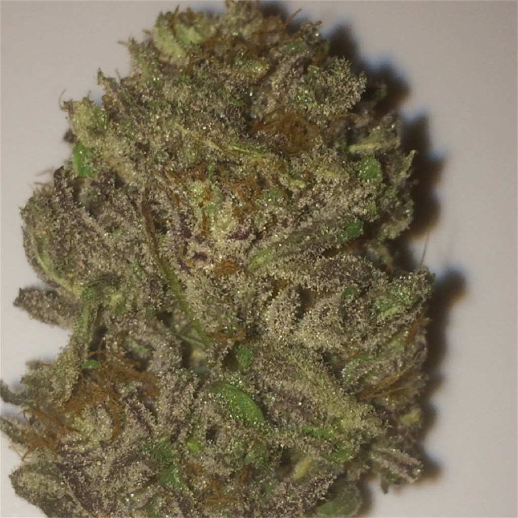 Obama Kush aka Obama OG, Obama OG Kush Weed Strain Information | Leafly