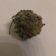 User uploaded image of Obama Kush