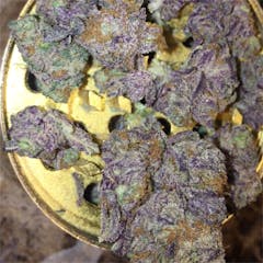 User uploaded image of Obama Kush