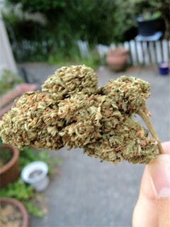 User uploaded image of Odyssey