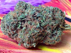 User uploaded image of Odyssey