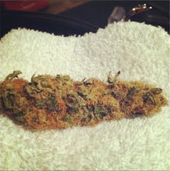 User uploaded image of Odyssey