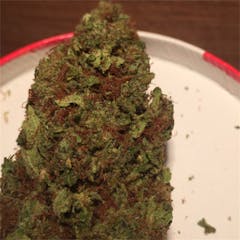 User uploaded image of OG #18