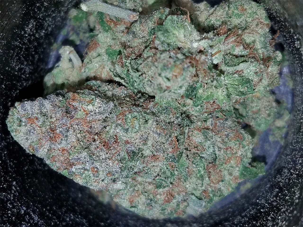 OG Cheese Marijuana Strain Information Leafly